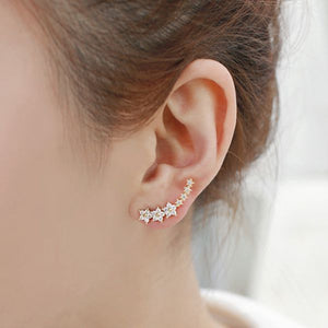 Trendy 925 Silver Needle Star Inlay Zircon Crystal Stud Earrings Jewelry for Women