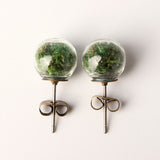 Natural Art Cute Ear Stud Moss Dandelion Lavender Dry Flower Earrings 