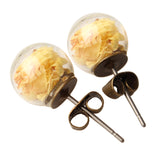 Natural Art Cute Ear Stud Moss Dandelion Lavender Dry Flower Earrings 