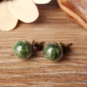 Natural Art Cute Ear Stud Moss Dandelion Lavender Dry Flower Earrings