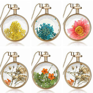 Round Glass Dry Flower Necklace Chain Women Alloy Jewelry