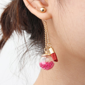 Tassel Wishing Glass Ball Crystal Leather Long Earrings Gift