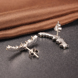 Trendy 925 Silver Needle Star Inlay Zircon Crystal Stud Earrings Jewelry for Women